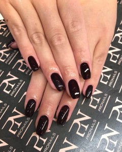 26170444 1966101100310503 8366850229636944478 o