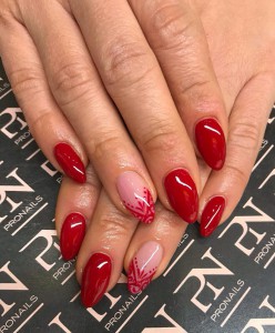 26171451 1966102116977068 8844300502637760337 o