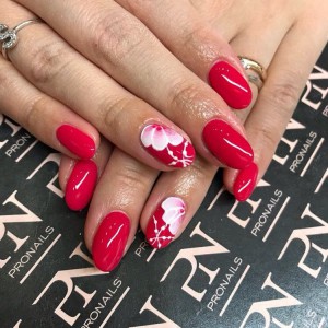 26230932 1972996959620917 2711826597797392697 n