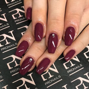 26240608 1973015742952372 2431932988958279945 o