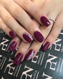 27748132 1985379185049361 7054009034789529595 o